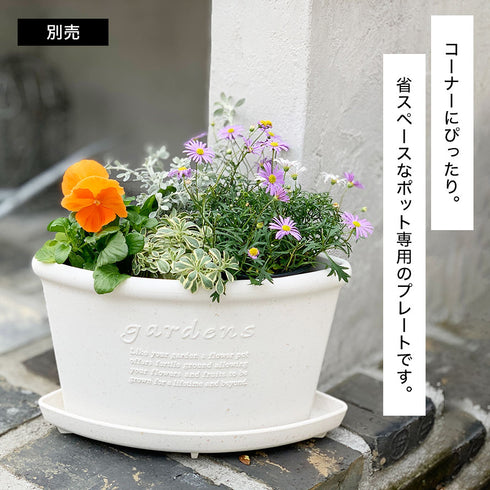 gardens コーナーエコプレート パピエ 260.|s2