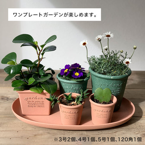 gardens エコプレートオーバル アーブル 490.|s2
