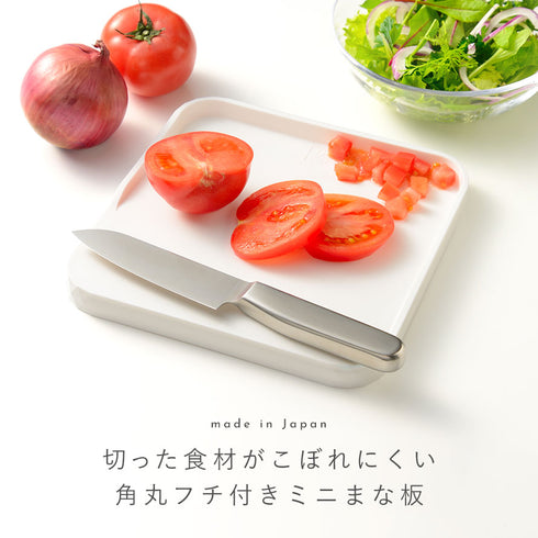 レイエ フチ付きまな板ミニ.|s1