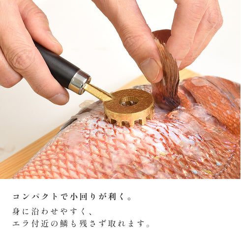 大人の焼魚 鱗とり.|s5