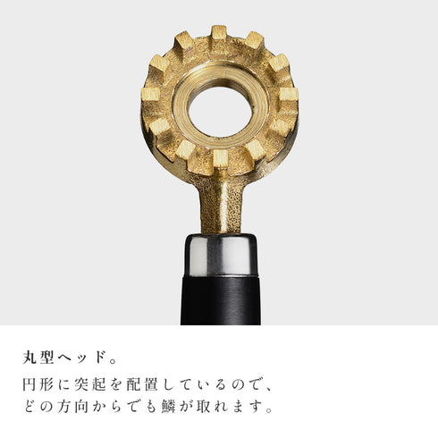 大人の焼魚 鱗とり.|s4