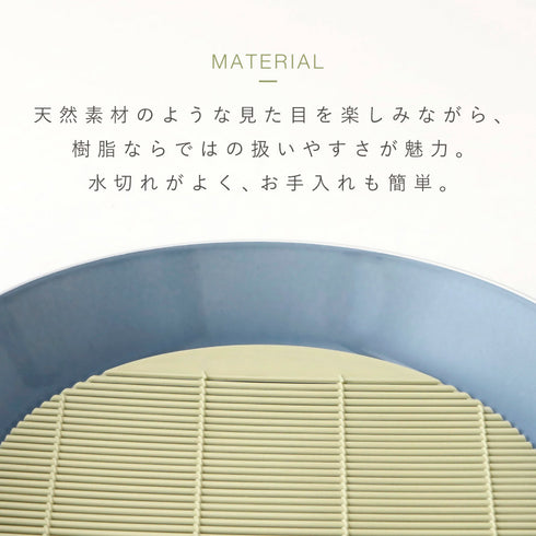 丸竹す(小).|s5