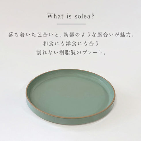 solea プレート.|s2